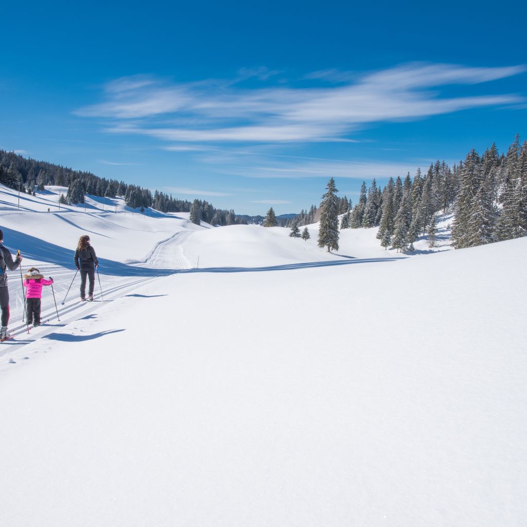 Auf den Spuren des Winters: