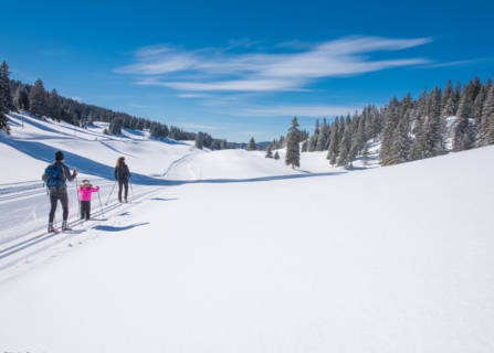 220 km de pistes de ski de fond