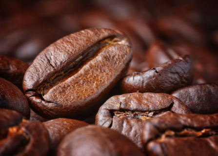 Dégustations de café