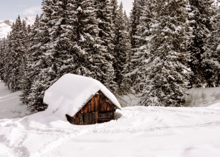 Refuges de la forêt du Risoud