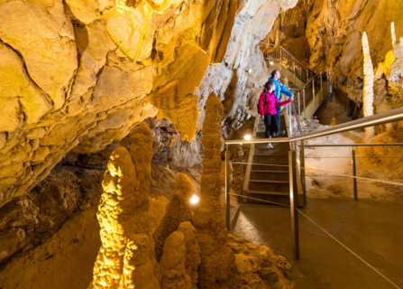 Caves of Vallorbe