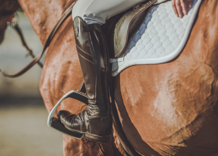 Equitation