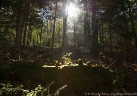 Sur les traces de l'Histoire de la Terre