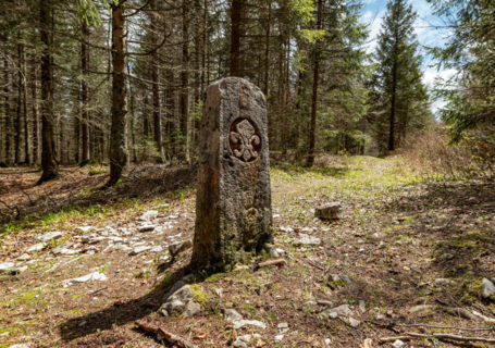 Sur les traces des Passeurs de 39-45